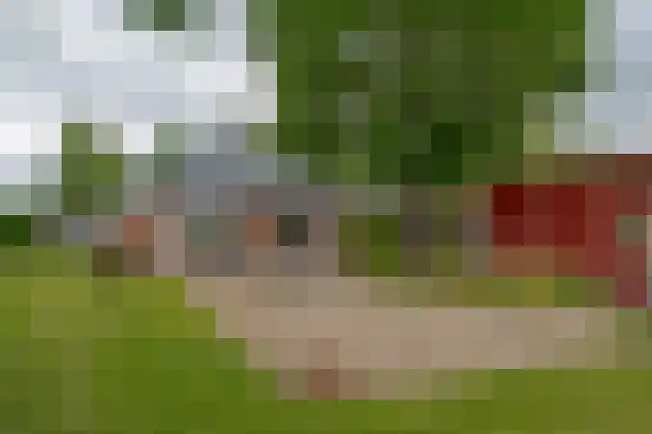 Dwarshaspel 11 Zevenhuizen thumbnail 26