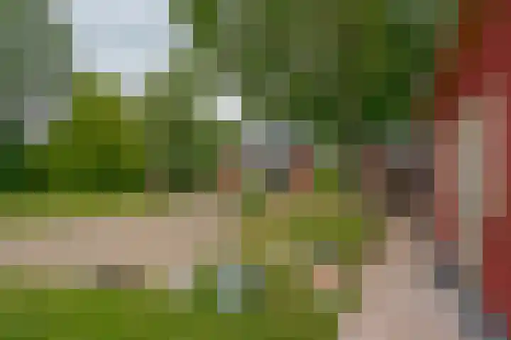 Dwarshaspel 11 Zevenhuizen thumbnail 28