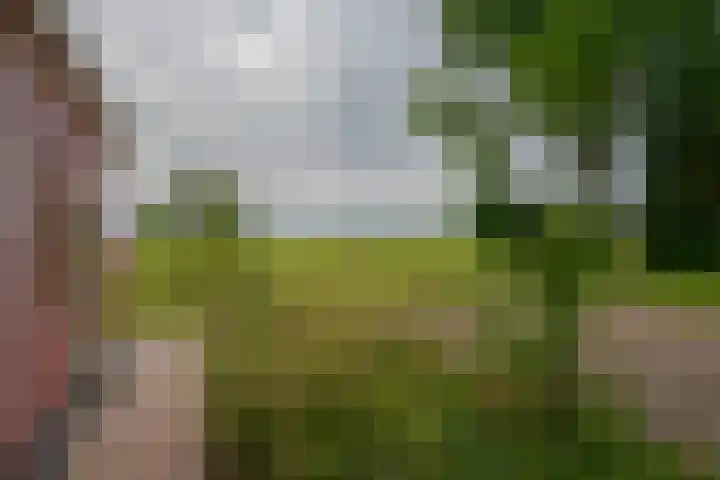 Dwarshaspel 11 Zevenhuizen thumbnail 29
