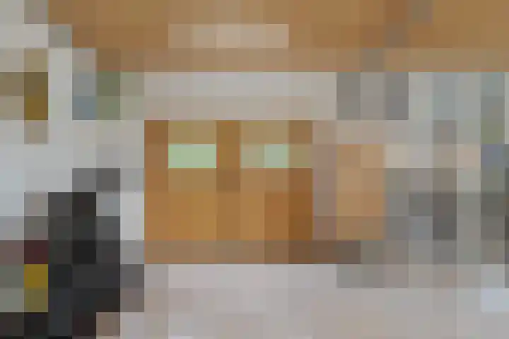 Dwarshaspel 11 Zevenhuizen thumbnail 32