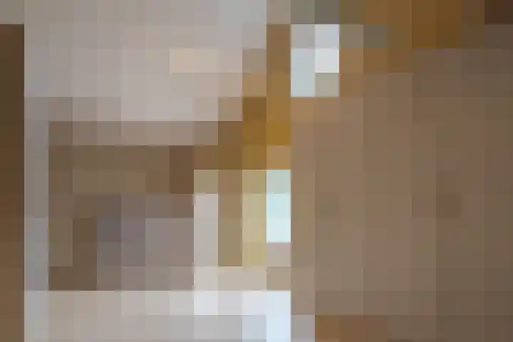 Dwarshaspel 11 Zevenhuizen thumbnail 41