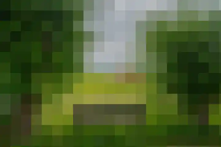 Dwarshaspel 11 Zevenhuizen thumbnail 5