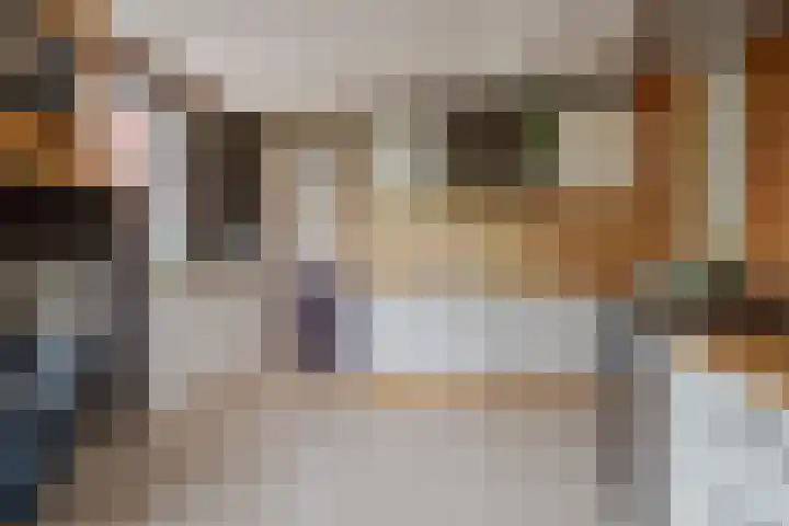 Dwarshaspel 11 Zevenhuizen thumbnail 53