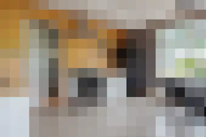 Dwarshaspel 11 Zevenhuizen thumbnail 55