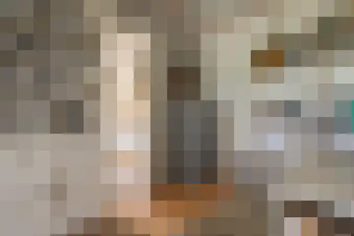 Dwarshaspel 11 Zevenhuizen thumbnail 56