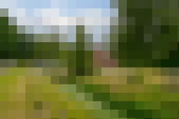 Dwarshaspel 11 Zevenhuizen thumbnail 7