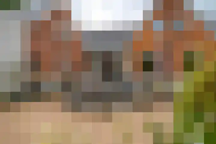 Dwarshaspel 11 Zevenhuizen thumbnail 70