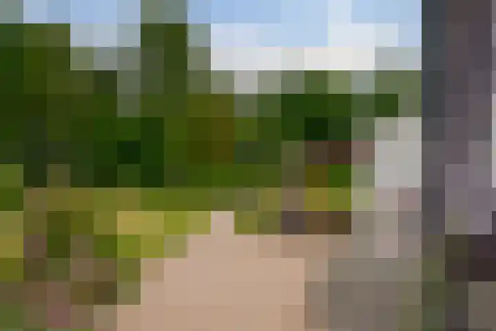 Dwarshaspel 11 Zevenhuizen thumbnail 73