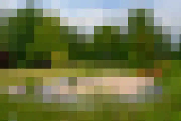 Dwarshaspel 11 Zevenhuizen thumbnail 75