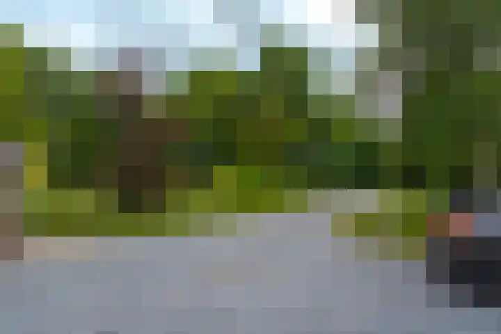 Dwarshaspel 11 Zevenhuizen thumbnail 78