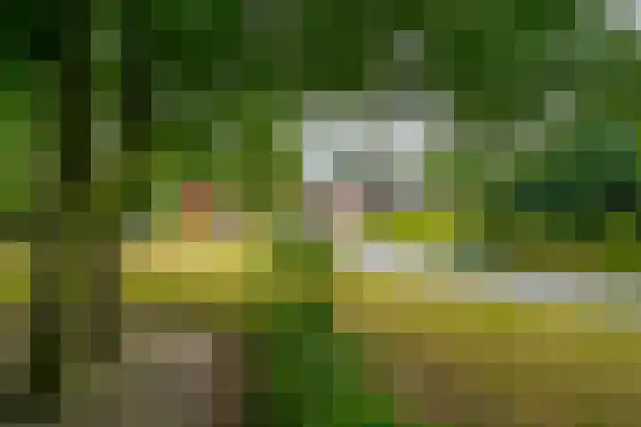 Dwarshaspel 11 Zevenhuizen thumbnail 79