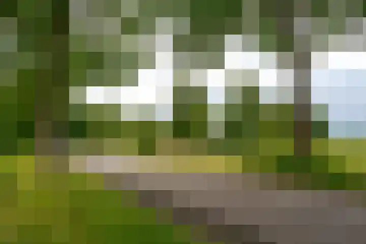 Dwarshaspel 11 Zevenhuizen thumbnail 8