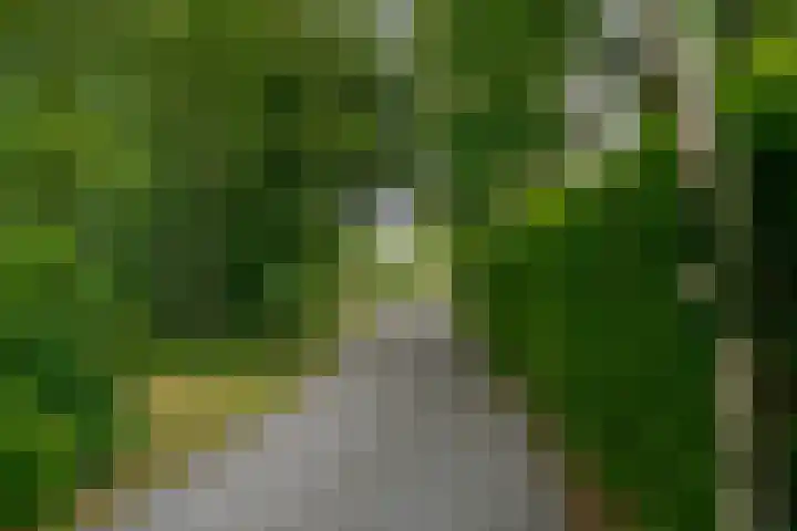 Dwarshaspel 11 Zevenhuizen thumbnail 80