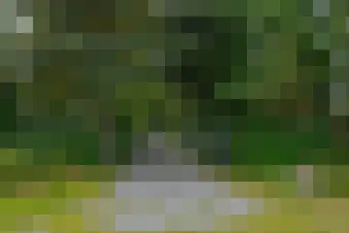 Dwarshaspel 11 Zevenhuizen thumbnail 81