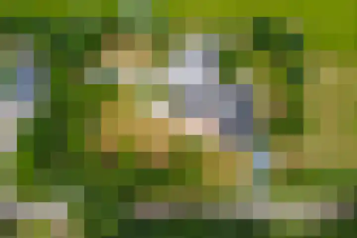 Dwarshaspel 11 Zevenhuizen thumbnail 83