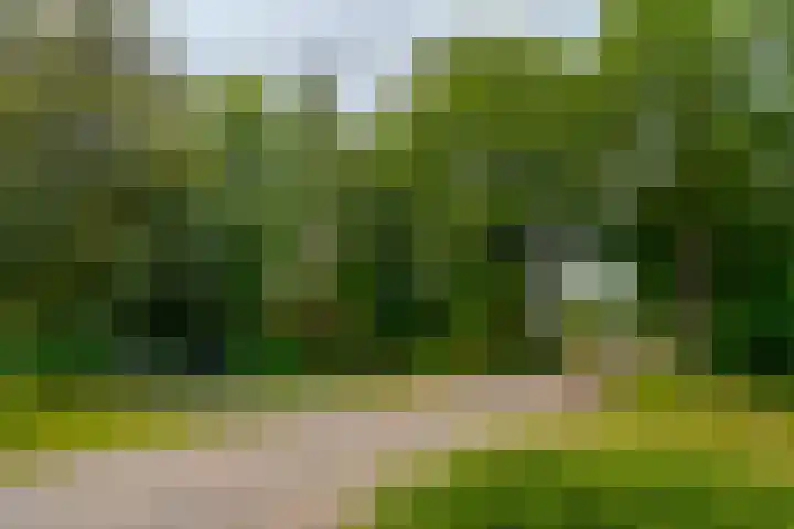 Dwarshaspel 11 Zevenhuizen thumbnail 9