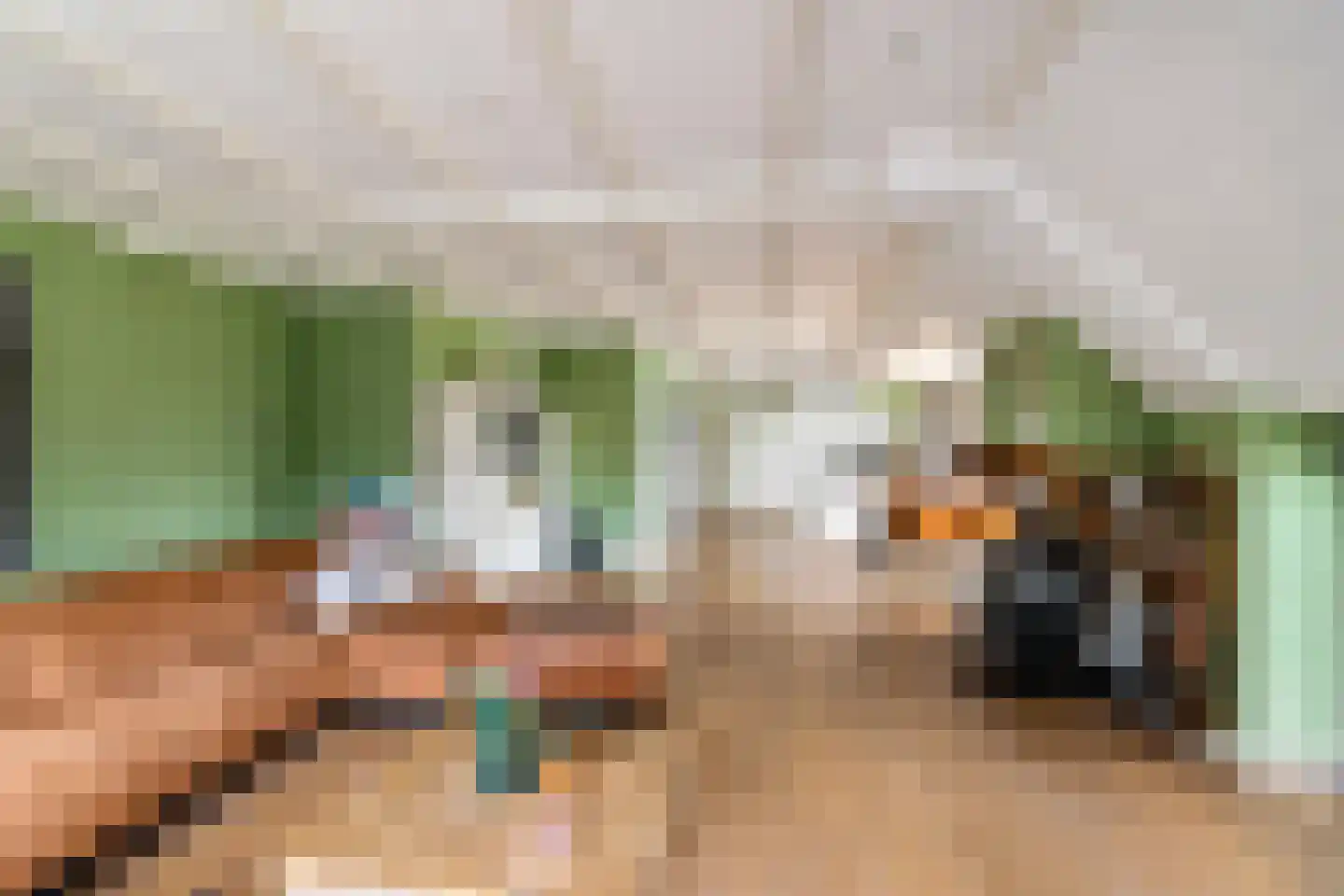 Dwarshaspel 5 Zevenhuizen thumbnail 10