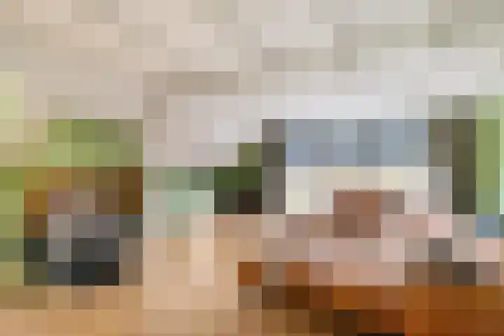 Dwarshaspel 5 Zevenhuizen thumbnail 12