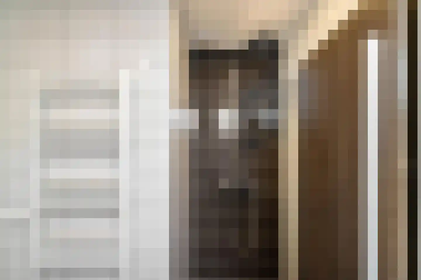 Dwarshaspel 5 Zevenhuizen thumbnail 24