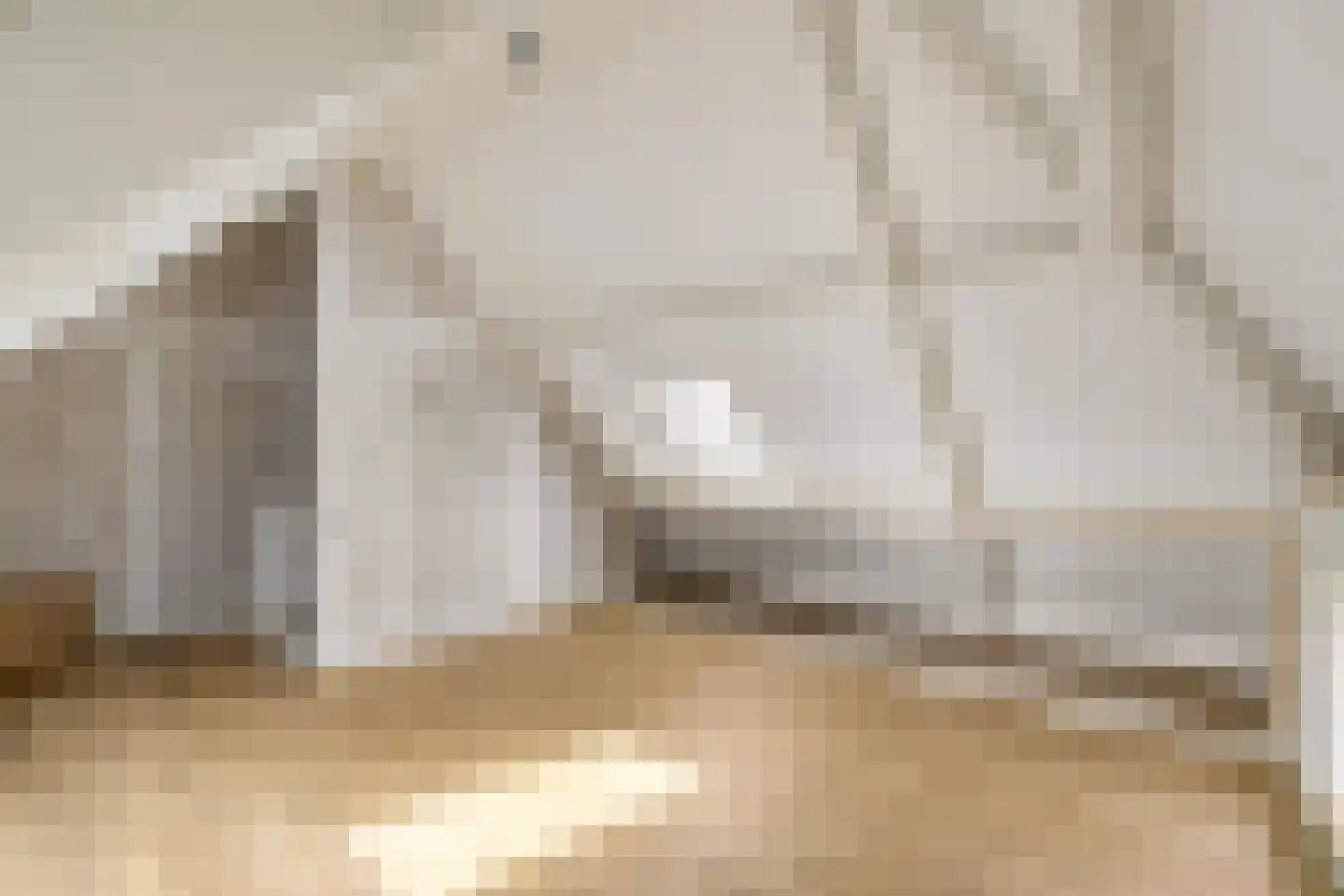 Dwarshaspel 5 Zevenhuizen thumbnail 27