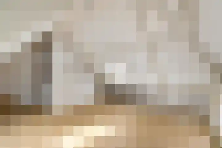 Dwarshaspel 5 Zevenhuizen thumbnail 27