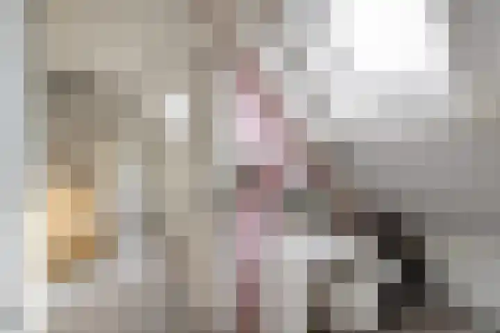 Dwarshaspel 5 Zevenhuizen thumbnail 32