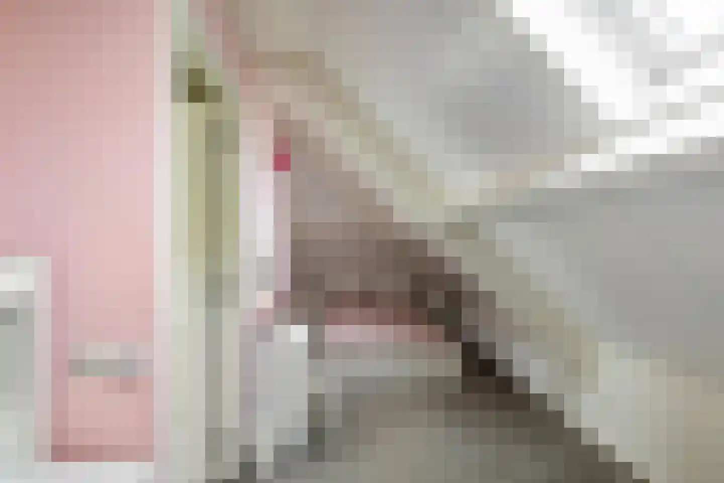 Dwarshaspel 5 Zevenhuizen thumbnail 33