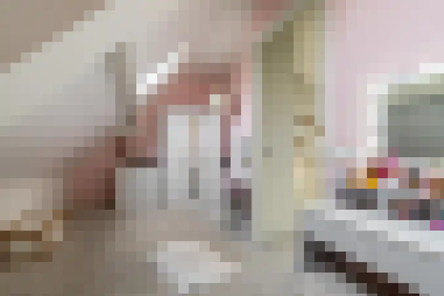Dwarshaspel 5 Zevenhuizen thumbnail 34