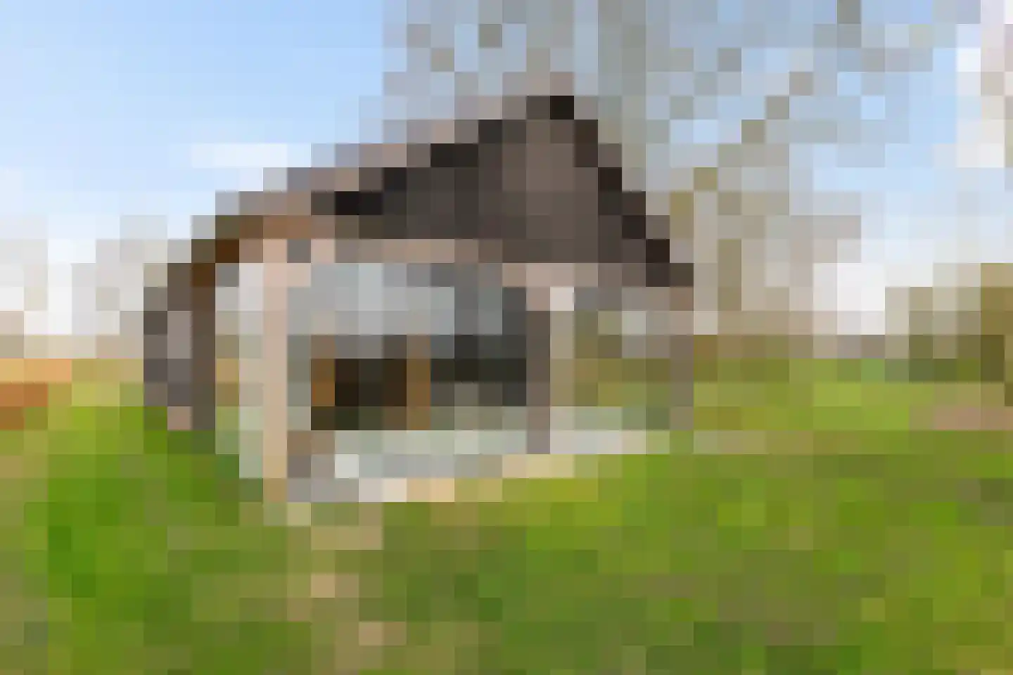 Dwarshaspel 5 Zevenhuizen thumbnail 4