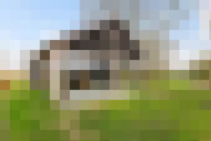 Dwarshaspel 5 Zevenhuizen thumbnail 4
