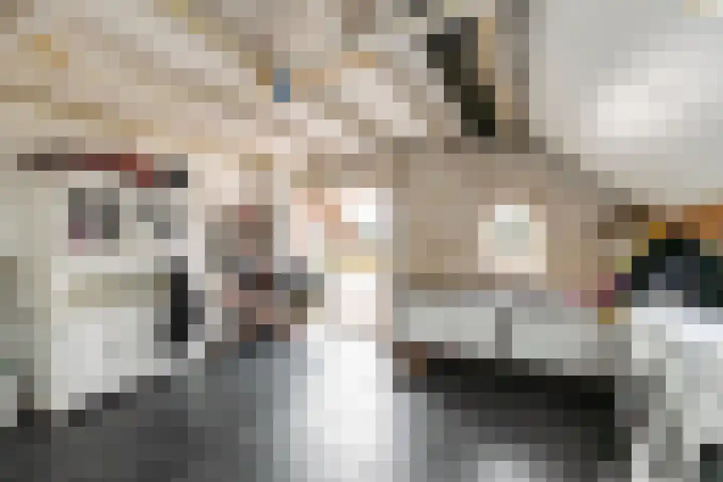 Dwarshaspel 5 Zevenhuizen thumbnail 40