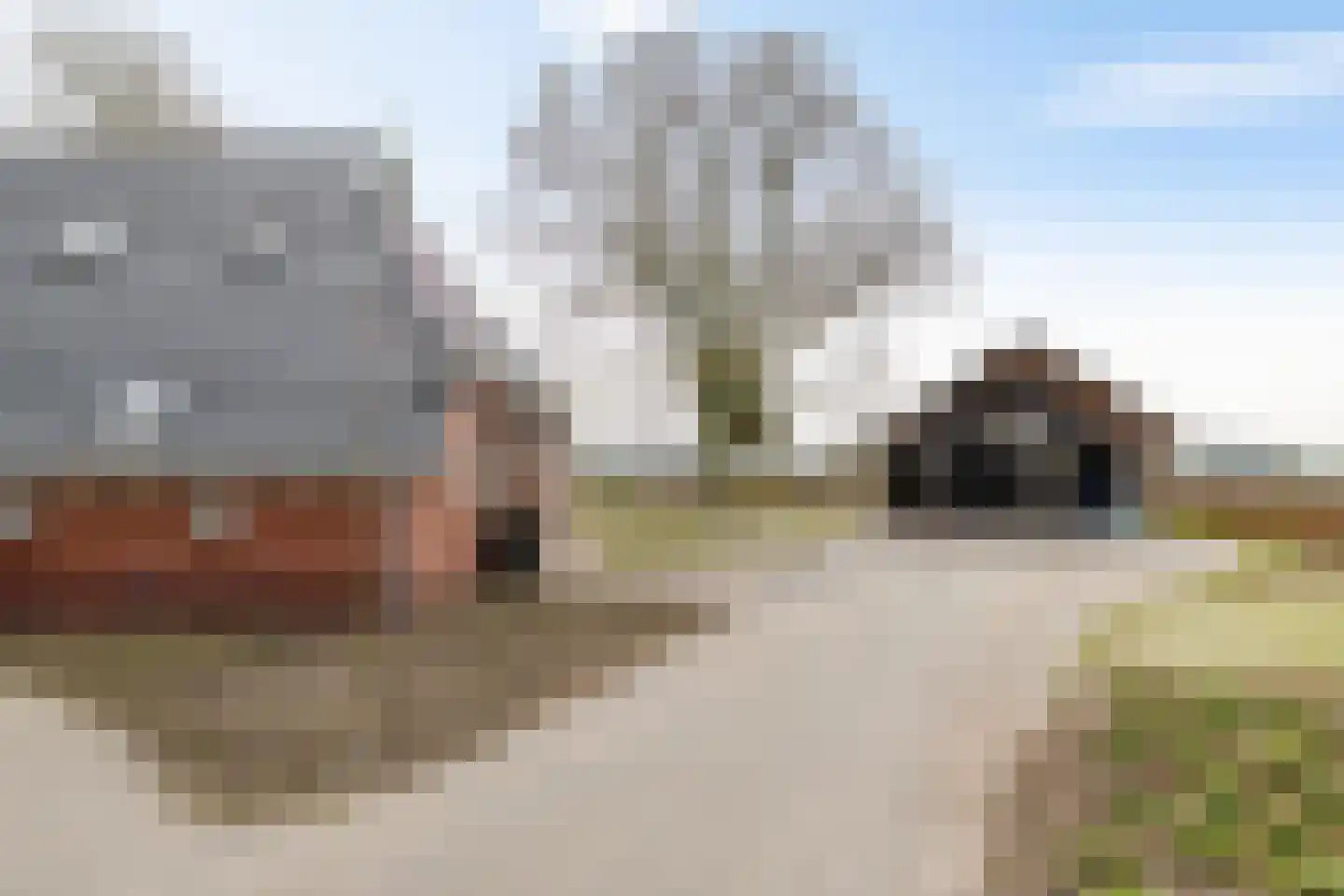 Dwarshaspel 5 Zevenhuizen thumbnail 42