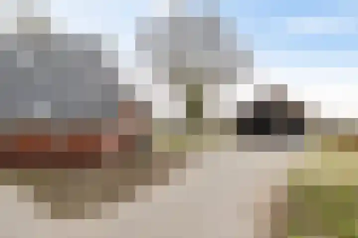 Dwarshaspel 5 Zevenhuizen thumbnail 42