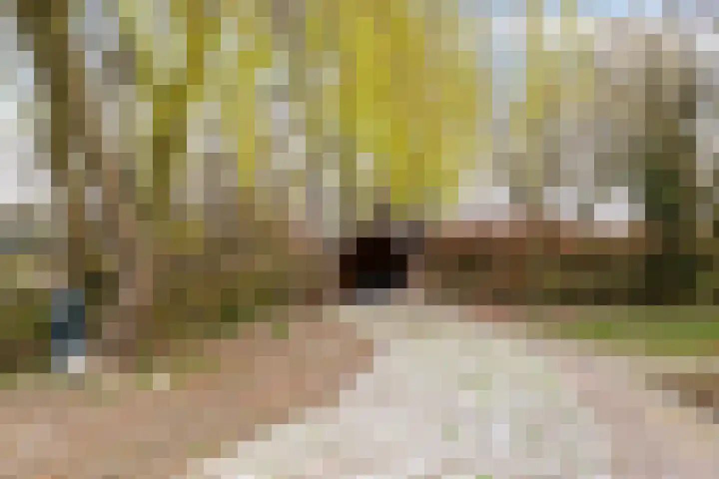 Dwarshaspel 5 Zevenhuizen thumbnail 43