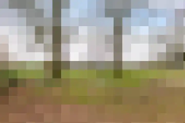 Dwarshaspel 5 Zevenhuizen thumbnail 44
