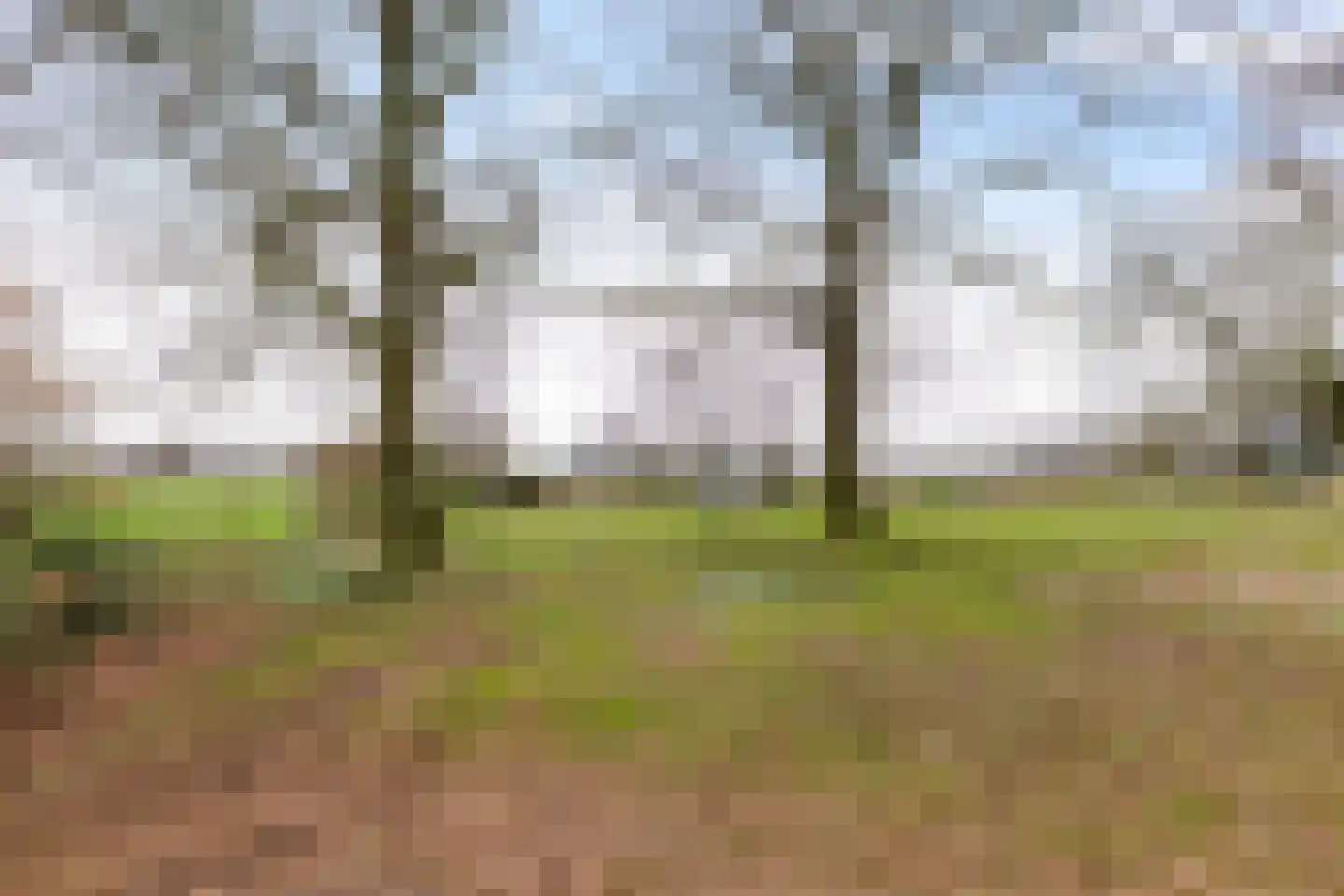 Dwarshaspel 5 Zevenhuizen thumbnail 44