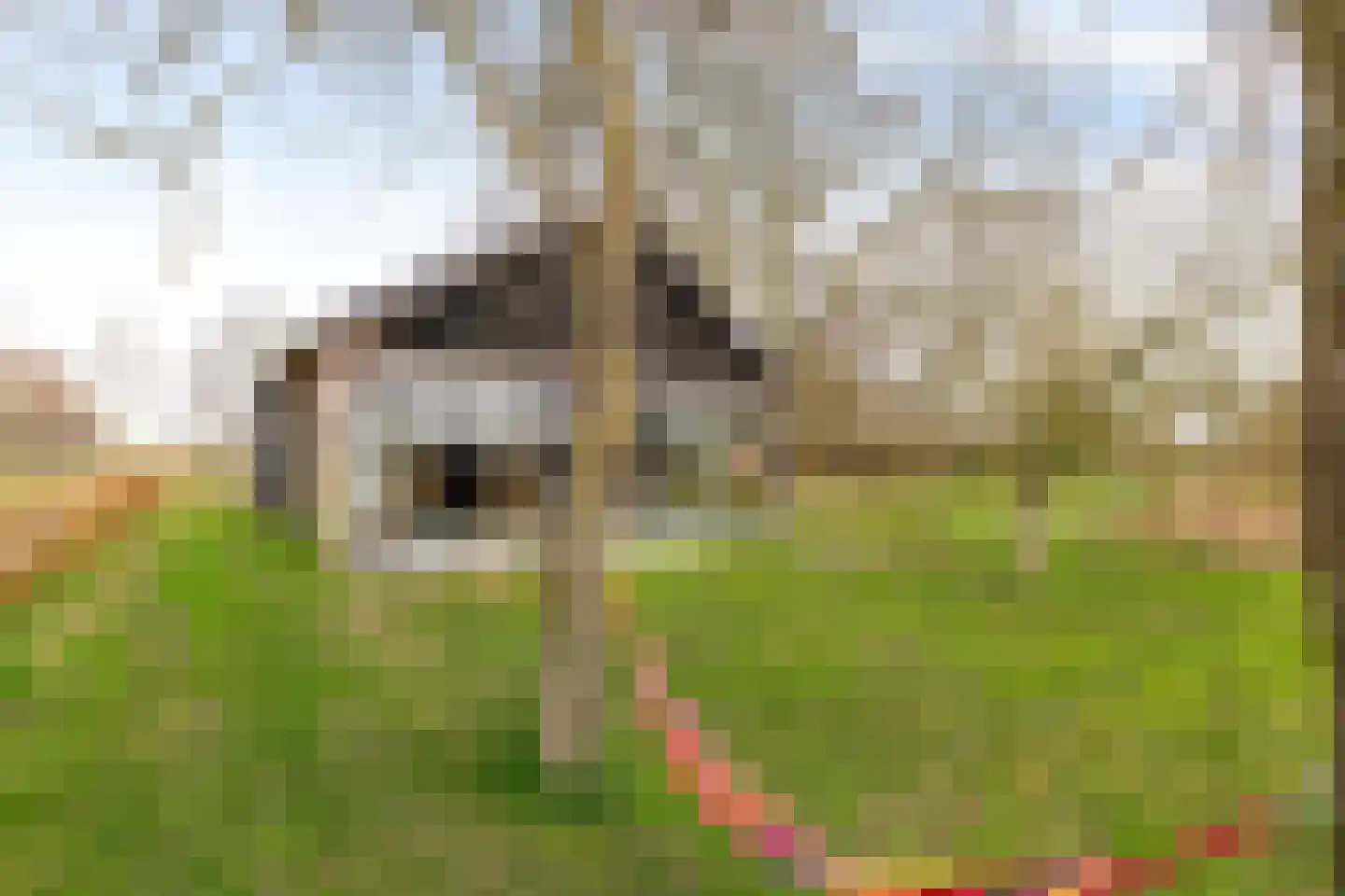 Dwarshaspel 5 Zevenhuizen thumbnail 47