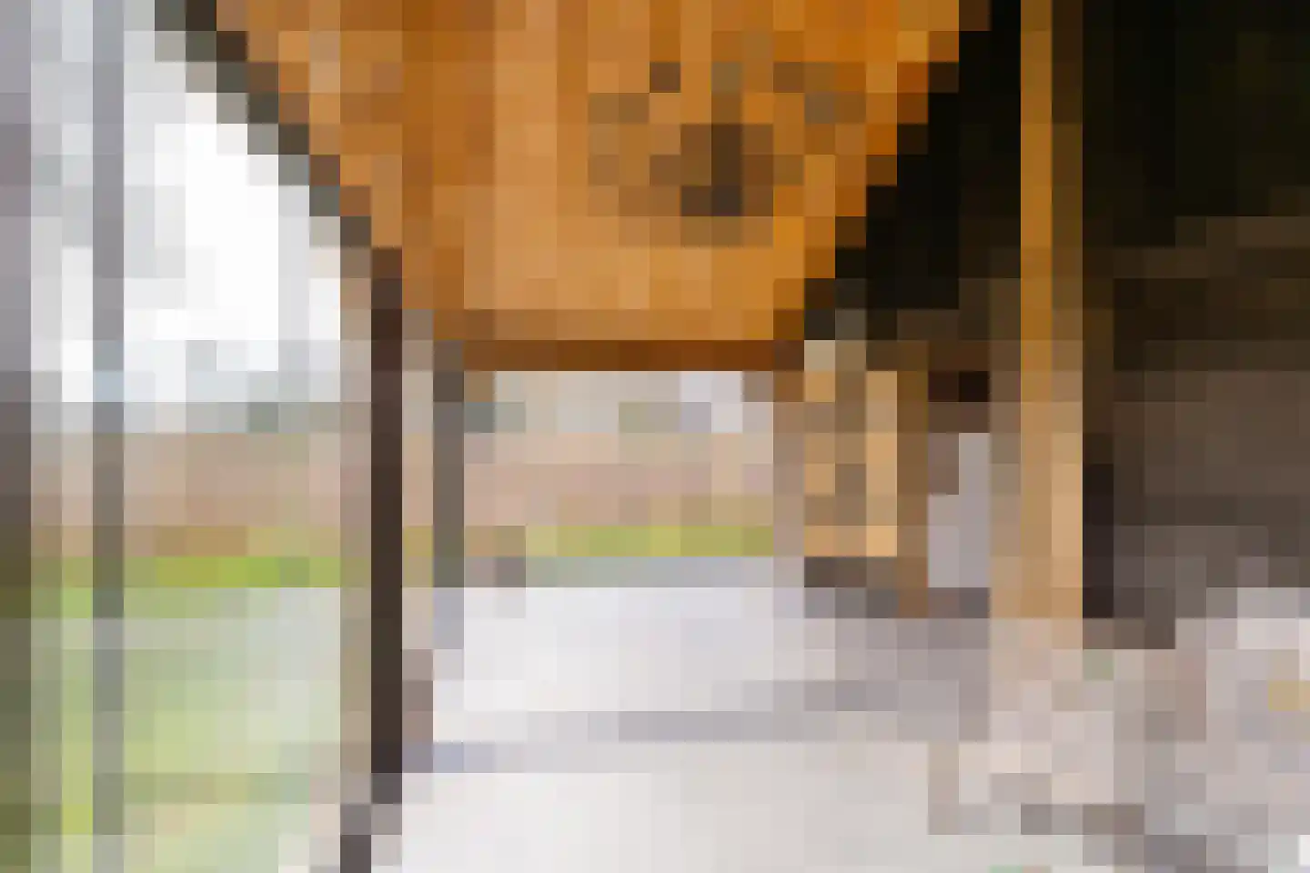 Dwarshaspel 5 Zevenhuizen thumbnail 48