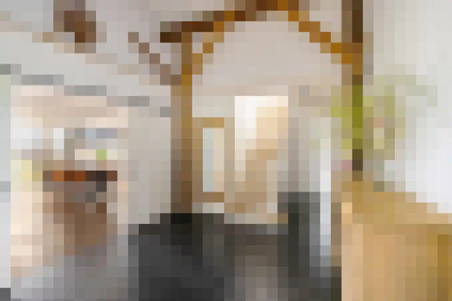 Dwarshaspel 5 Zevenhuizen thumbnail 5