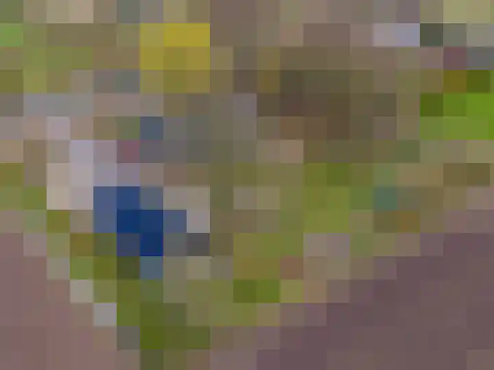 Dwarshaspel 5 Zevenhuizen thumbnail 51