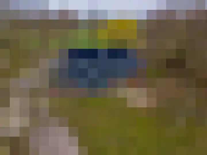 Dwarshaspel 5 Zevenhuizen thumbnail 54