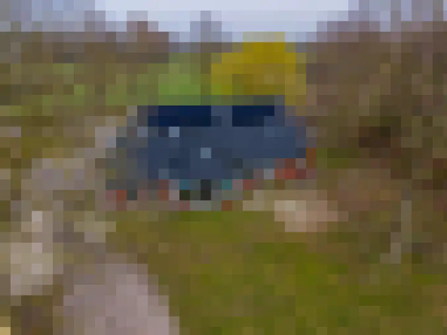Dwarshaspel 5 Zevenhuizen thumbnail 54
