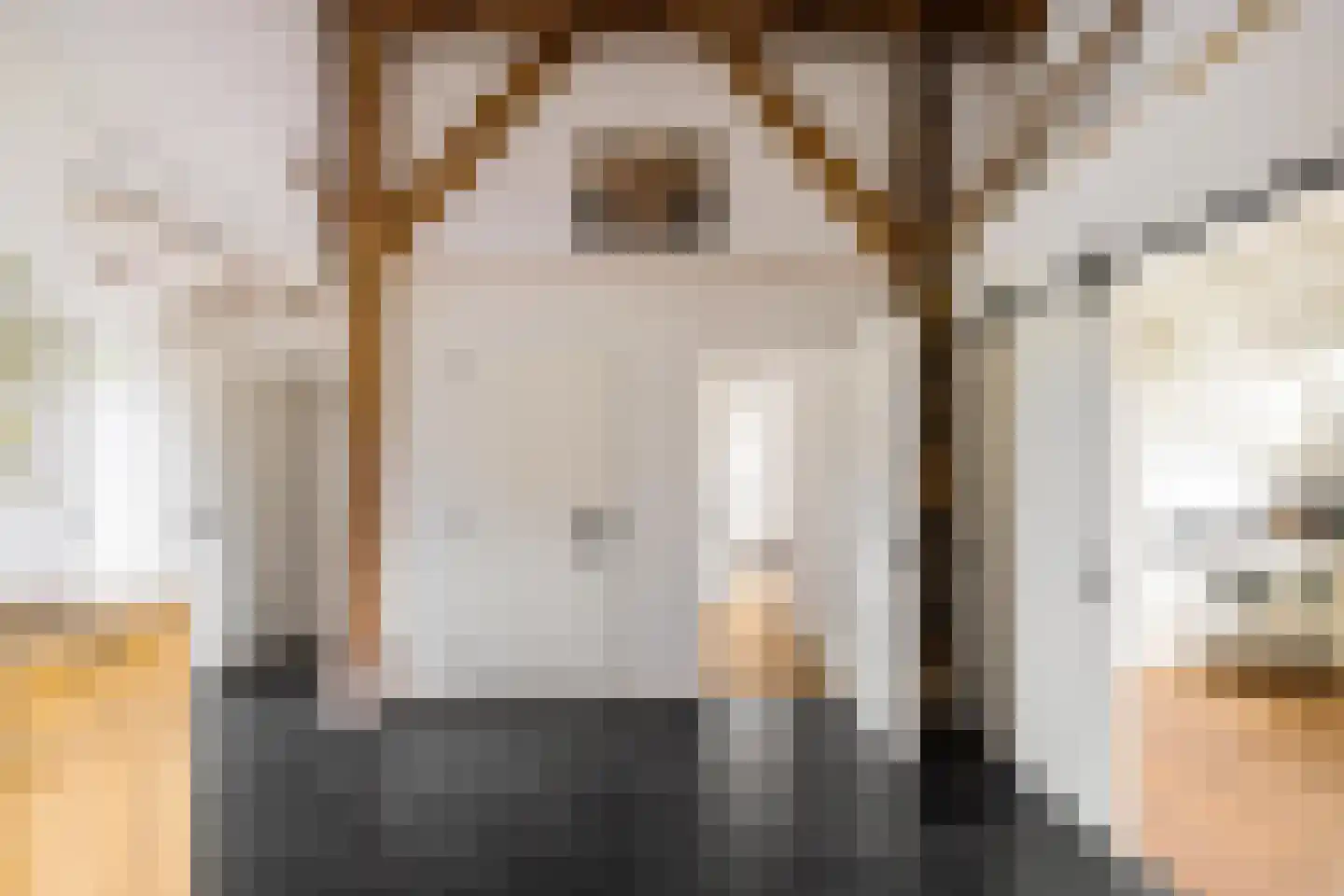 Dwarshaspel 5 Zevenhuizen thumbnail 6