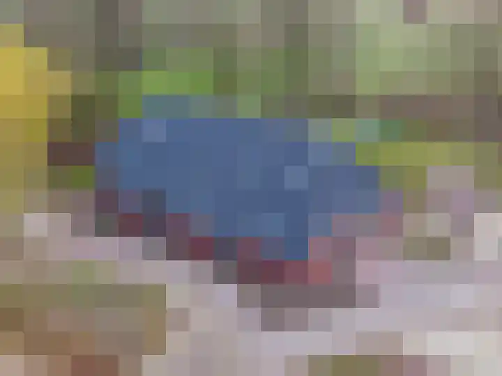 Dwarshaspel 5 Zevenhuizen thumbnail 60
