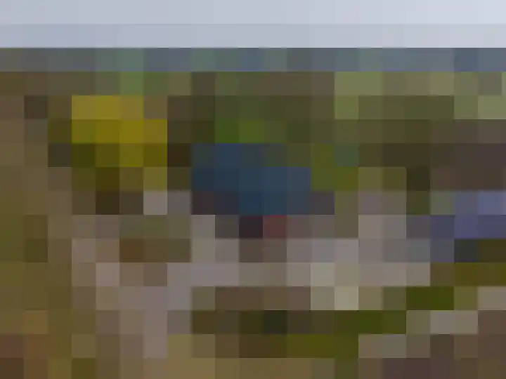 Dwarshaspel 5 Zevenhuizen thumbnail 62