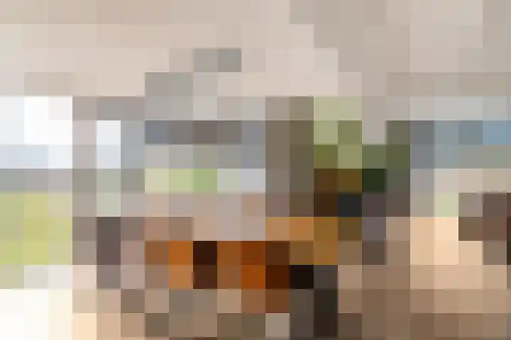 Dwarshaspel 5 Zevenhuizen thumbnail 8