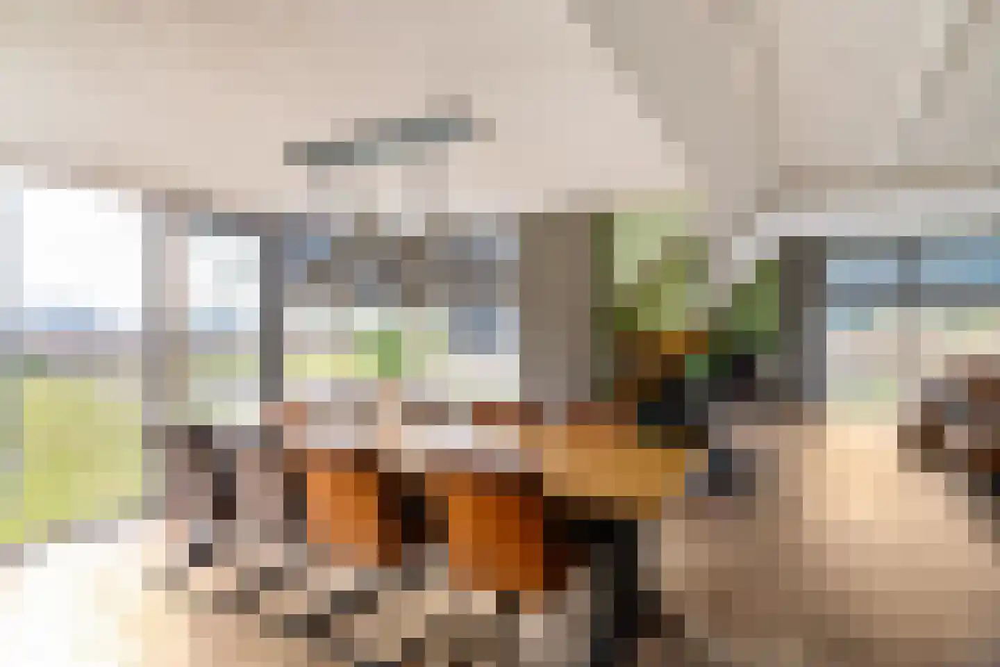 Dwarshaspel 5 Zevenhuizen thumbnail 8