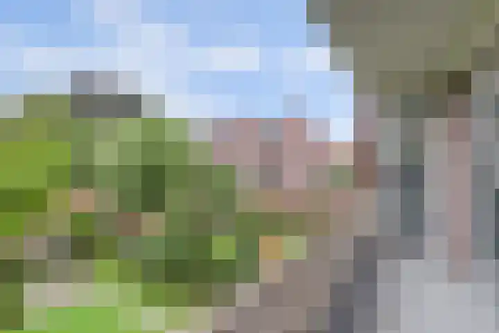 Dwarskaai 12 Middelburg thumbnail 21
