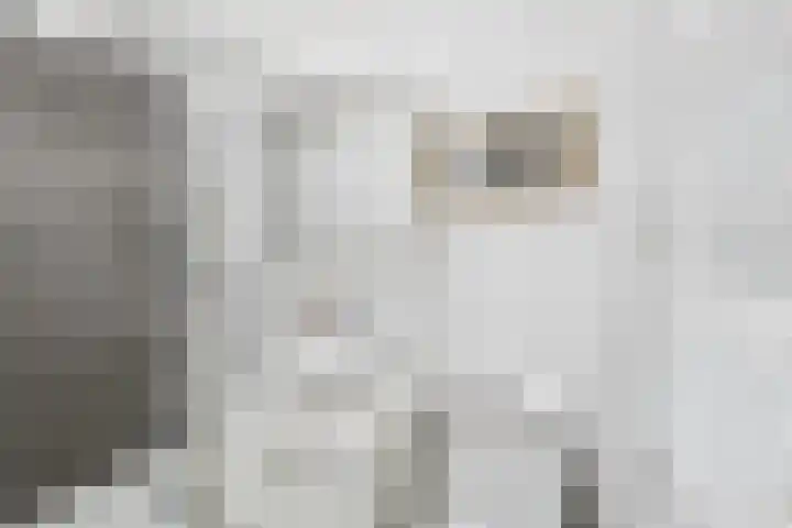 Dwarskaai 24 Middelburg thumbnail 25