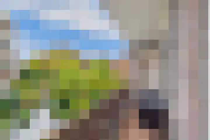 Dwarskaai 24 Middelburg thumbnail 4